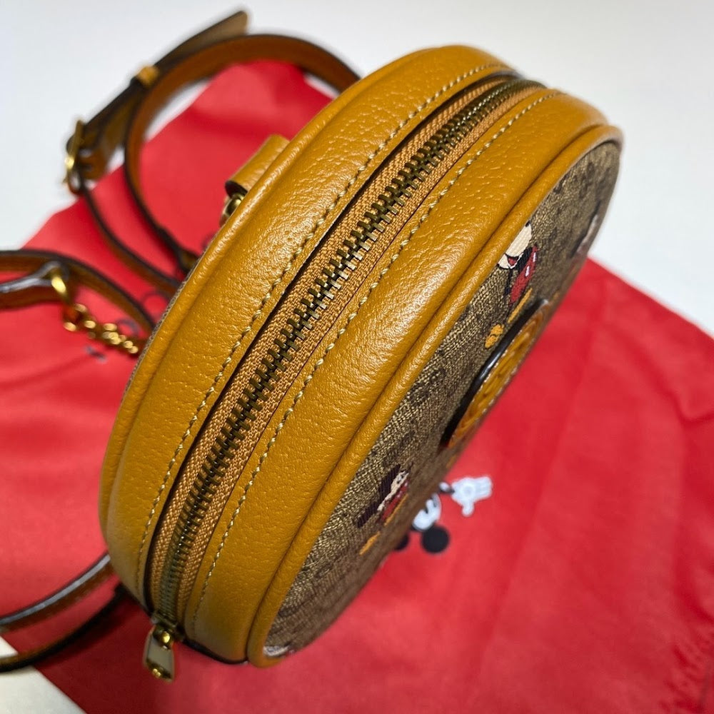 new-designer-premium-bags-nm18187