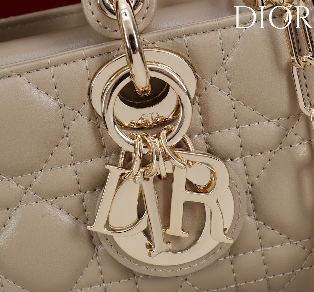 Ezyycart Bags Diorn Luxury Bag --115419