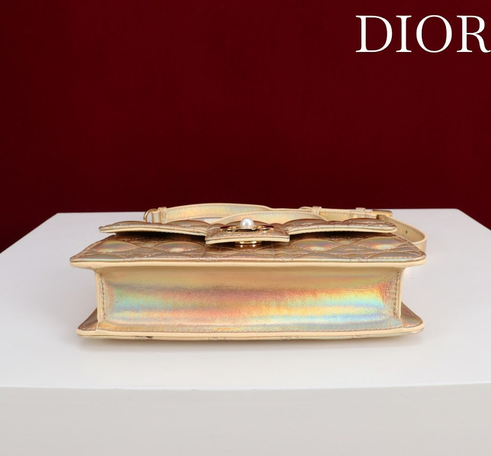 Ezyycart Bags Diorn Luxury Bag --116370