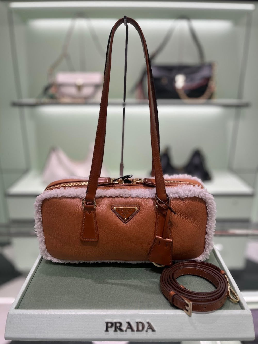 Ezyycart Bags Pradn Luxury Bag --102874