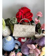 new-designer-premium-bags-nm6272