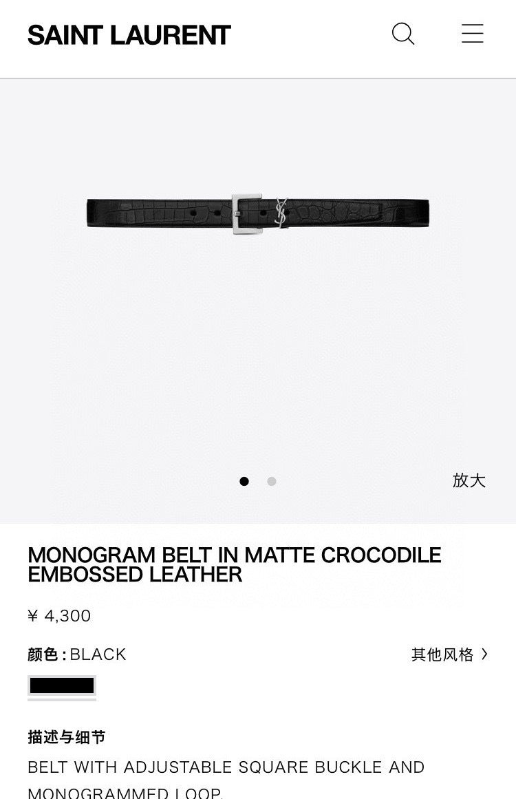 Ezyycart Bags YSLn Luxury Belt --110520