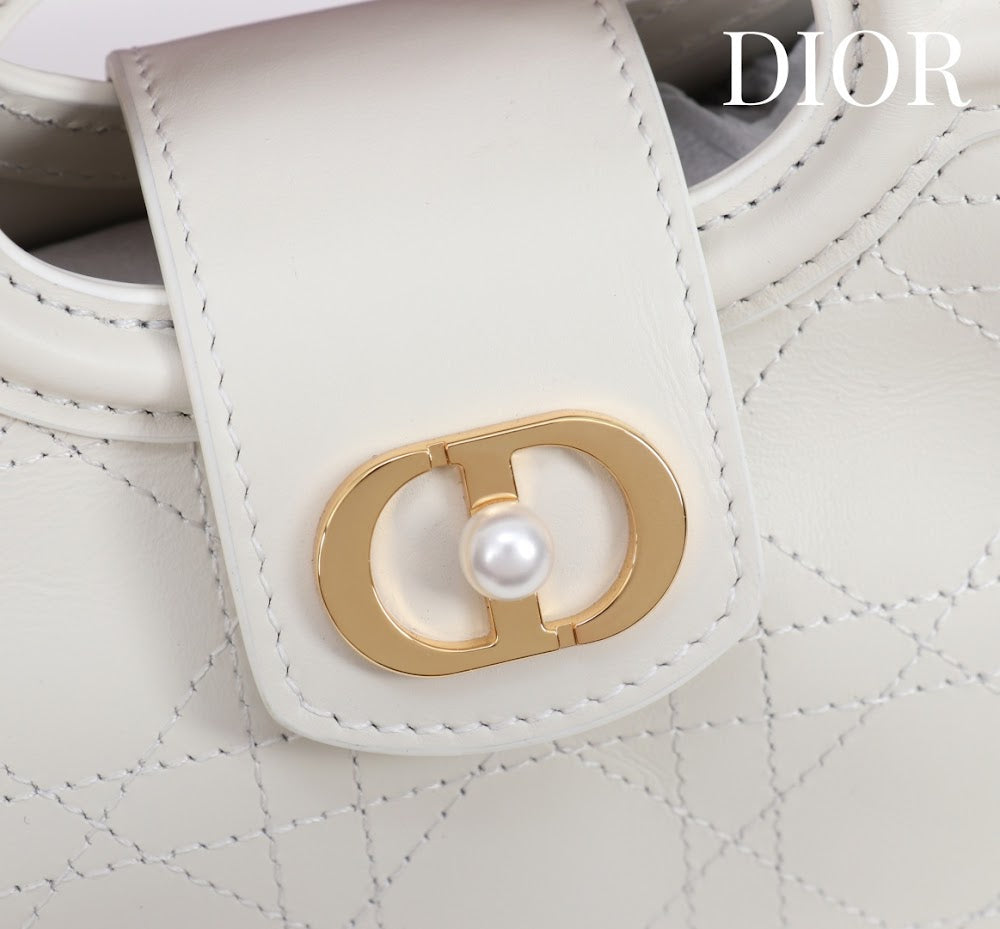 Anum Bags Diorn Luxury Bag --114555