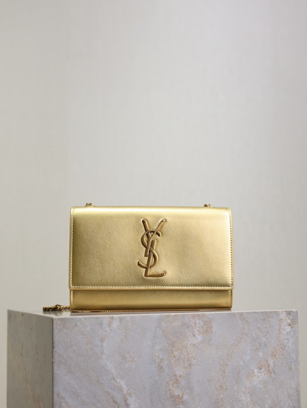 Ezyycart Bags YSLn Luxury Bag --119513