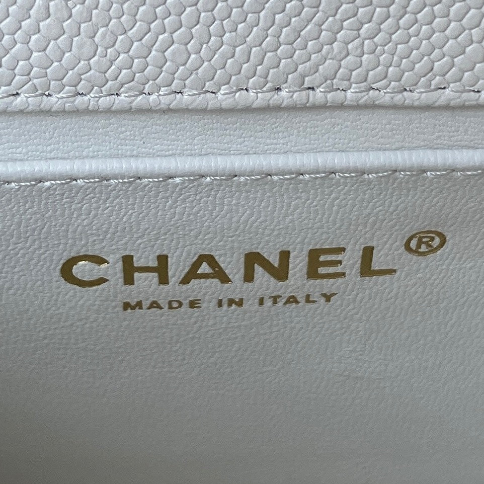 new-luxury-designer-bags-nm10080