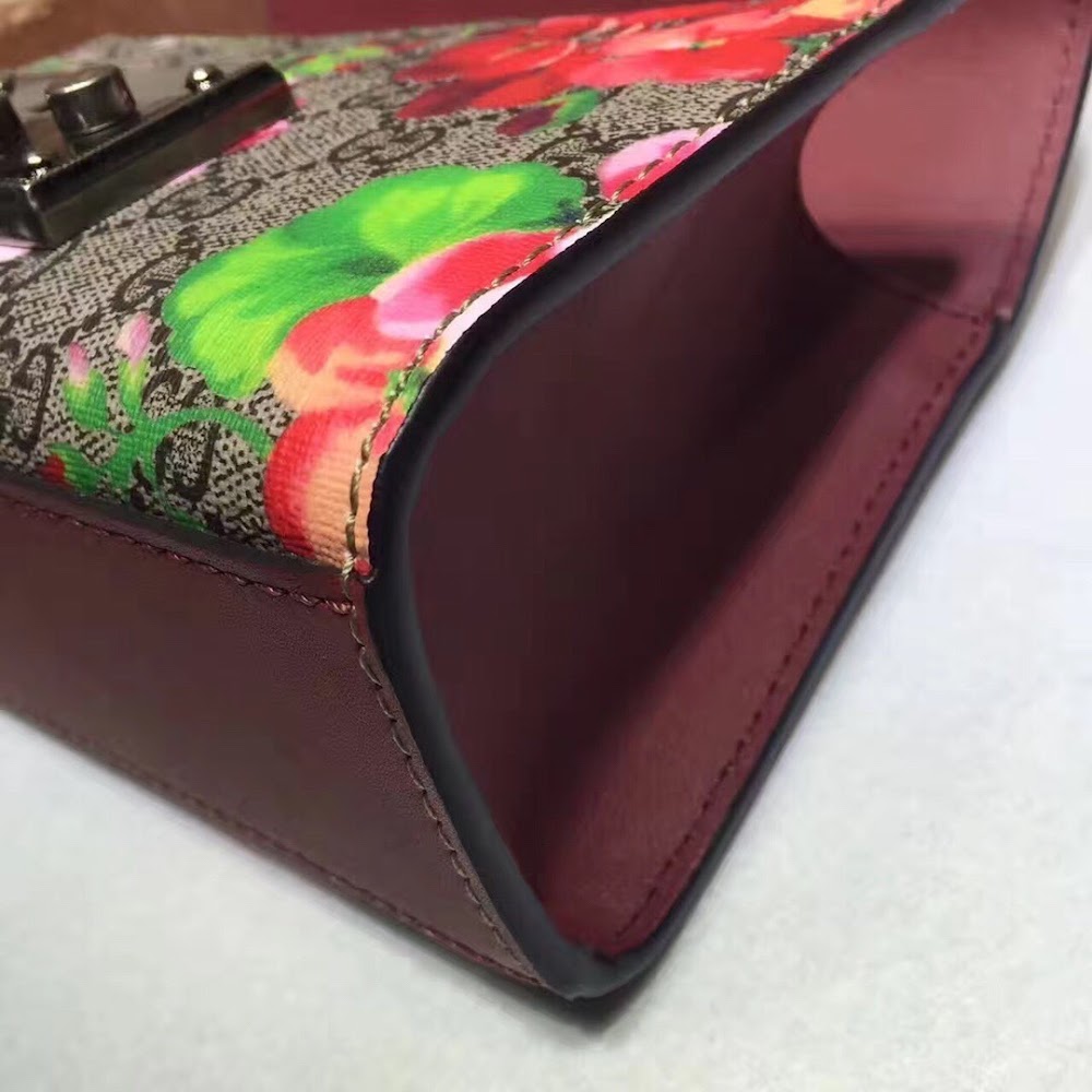 new-designer-premium-bags-nm17650