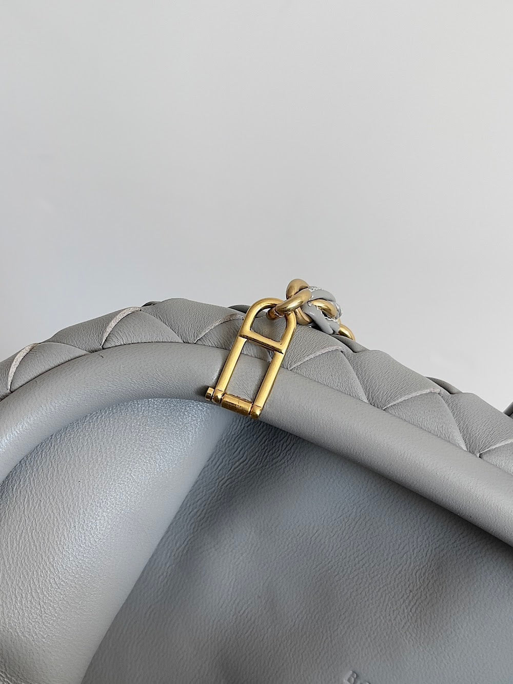 Ezyycart Bags Bottegan Luxury Bag --91284