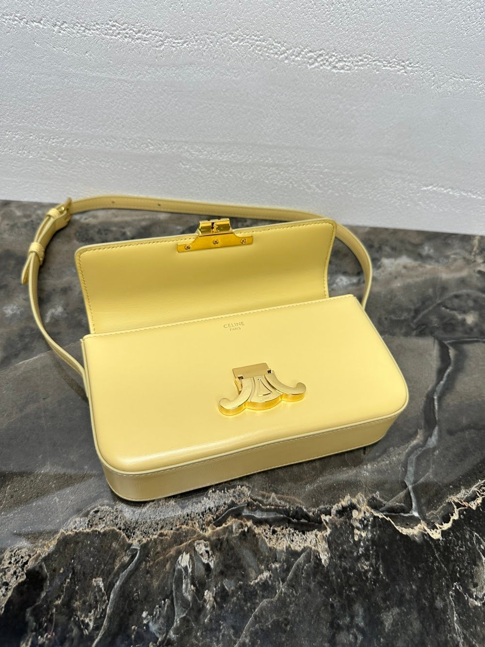 Ezyycart Bags Celine Luxury Bag --112424