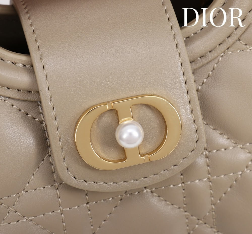Anum Bags Diorn Luxury Bag --114562