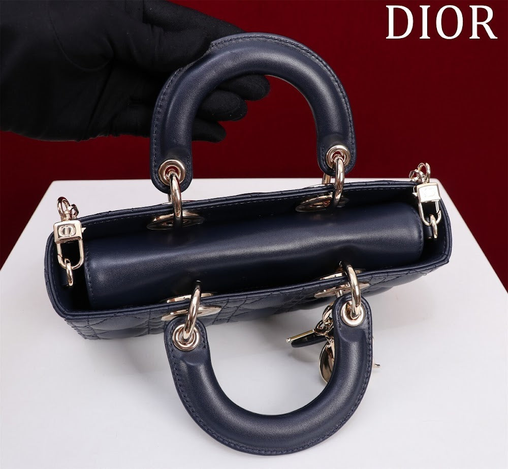 Anum Bags Diorn Luxury Bag --114763