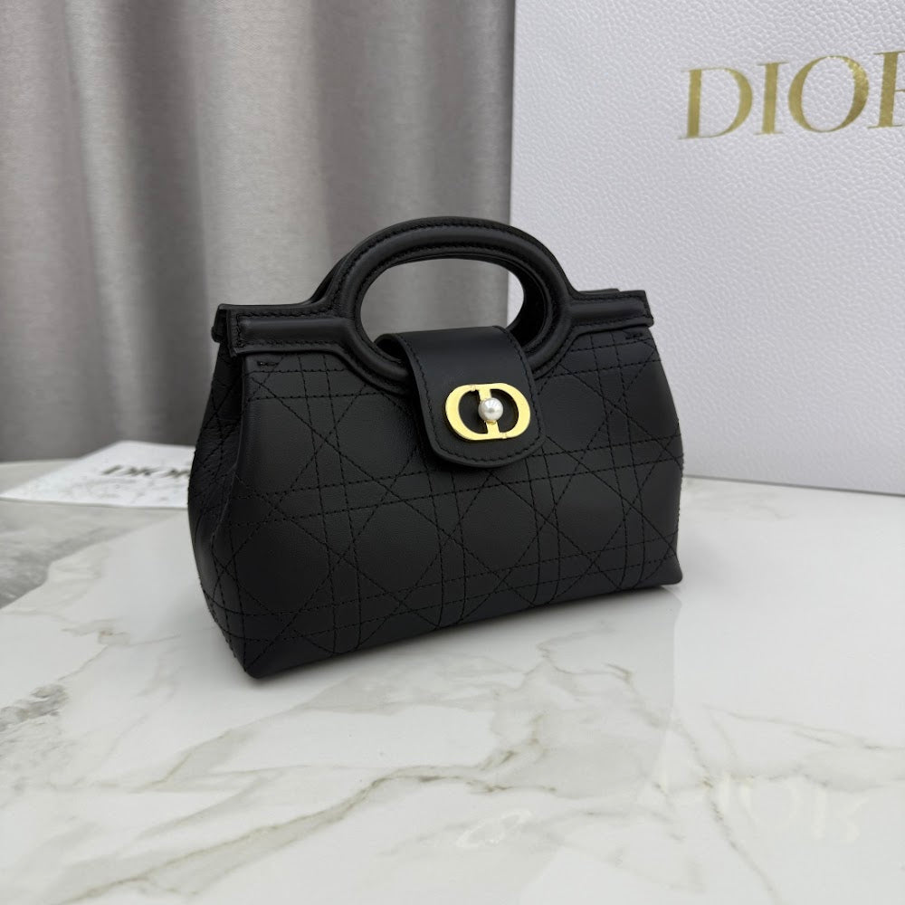 Ezyycart Bags Diorn Luxury Bag --116110