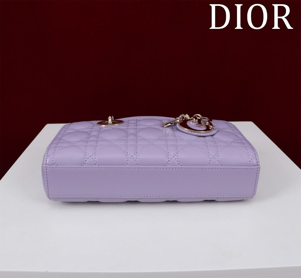 Anum Bags Diorn Luxury Bag --114762