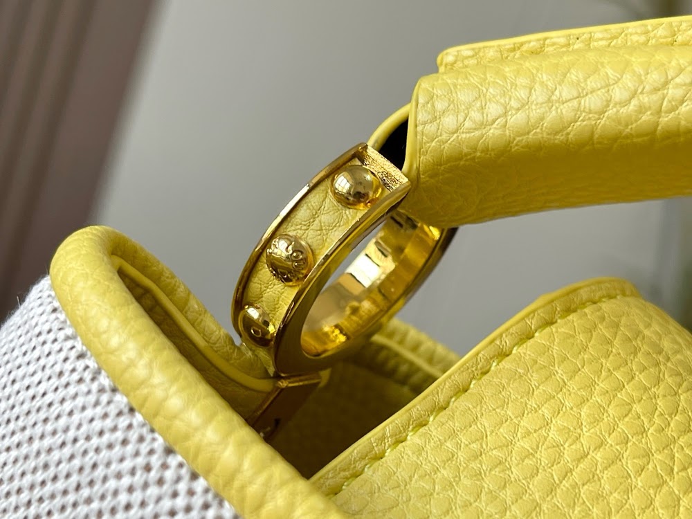 Anum Bags LVn Luxury Bag --78739