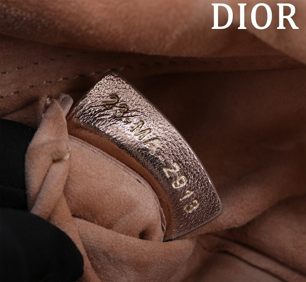 Anum Bags Diorn Luxury Bag --114743