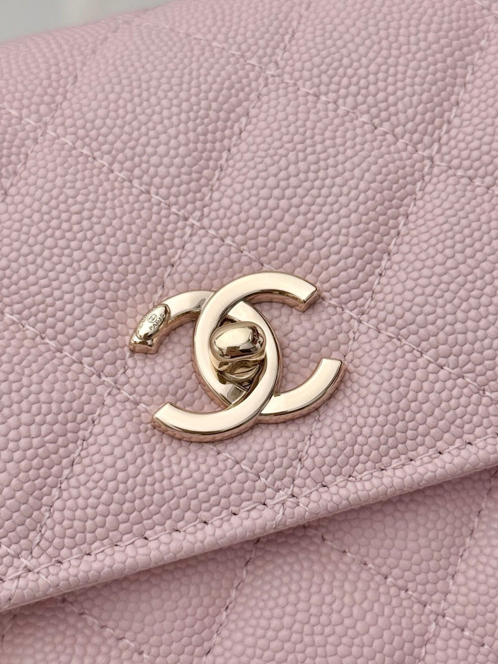 Anum Bags CHn Luxury Bag --113852