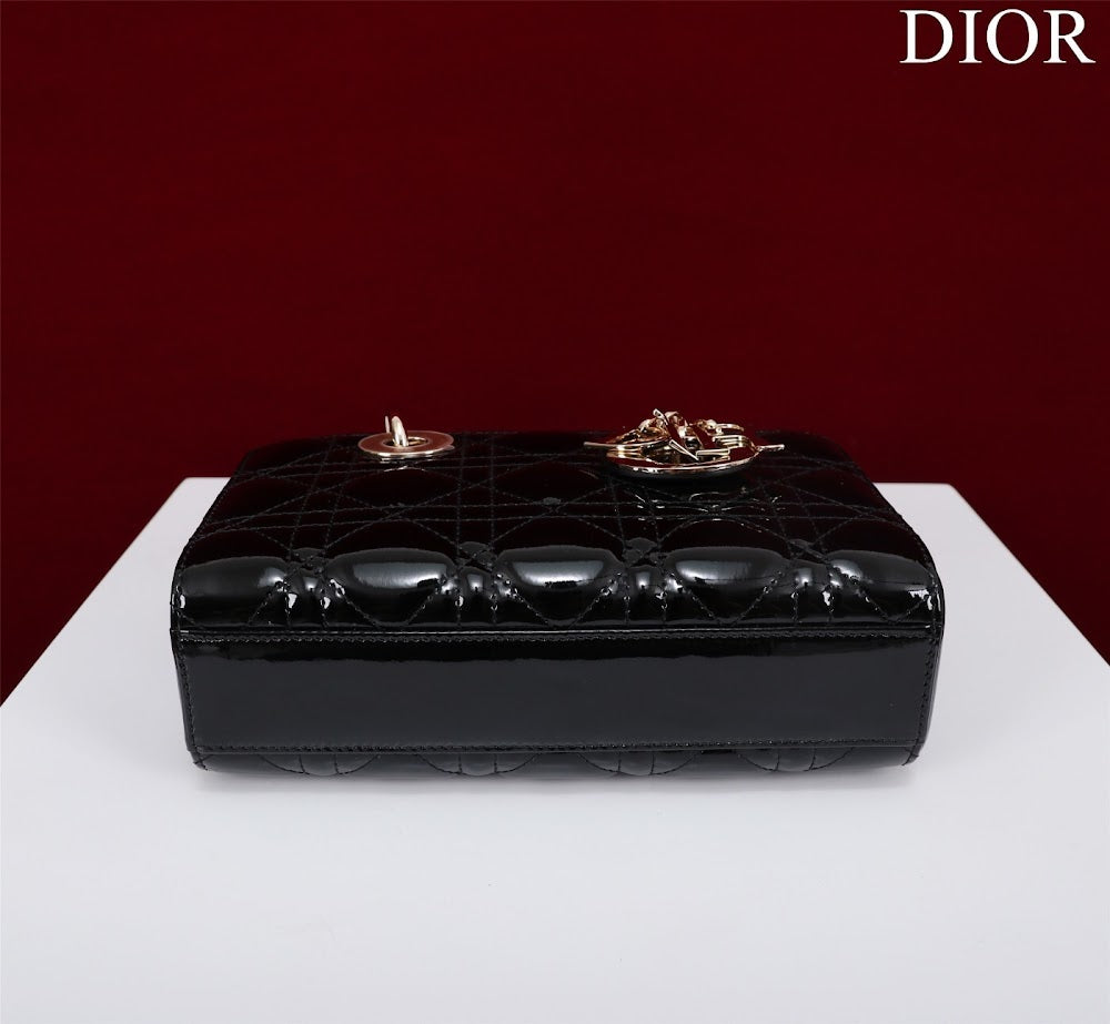 Anum Bags Diorn Luxury Bag --114773