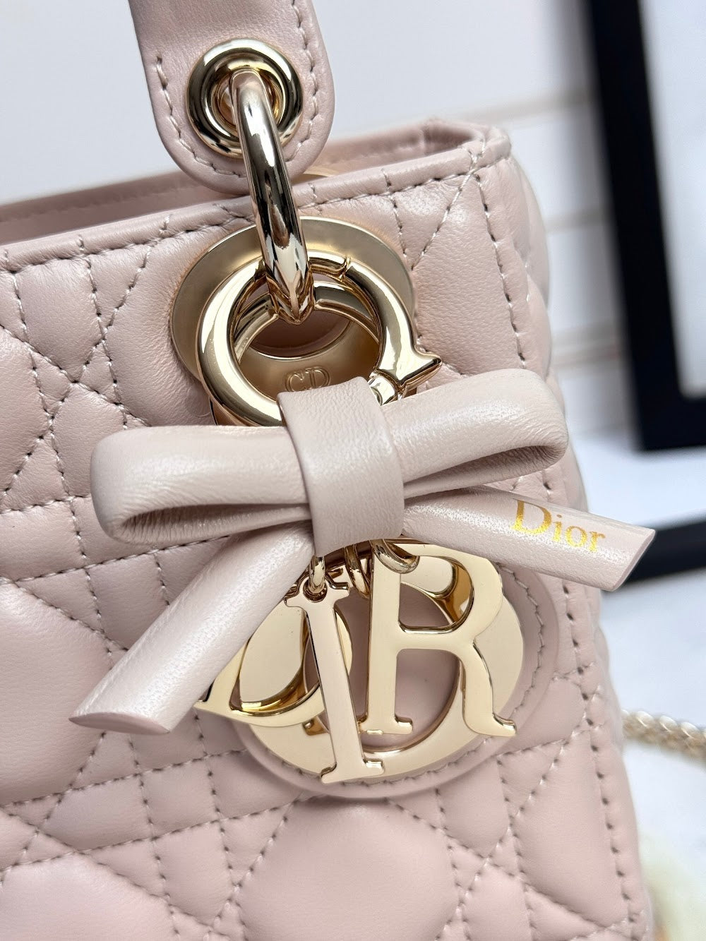 Anum Bags Diorn Luxury Bag --114953