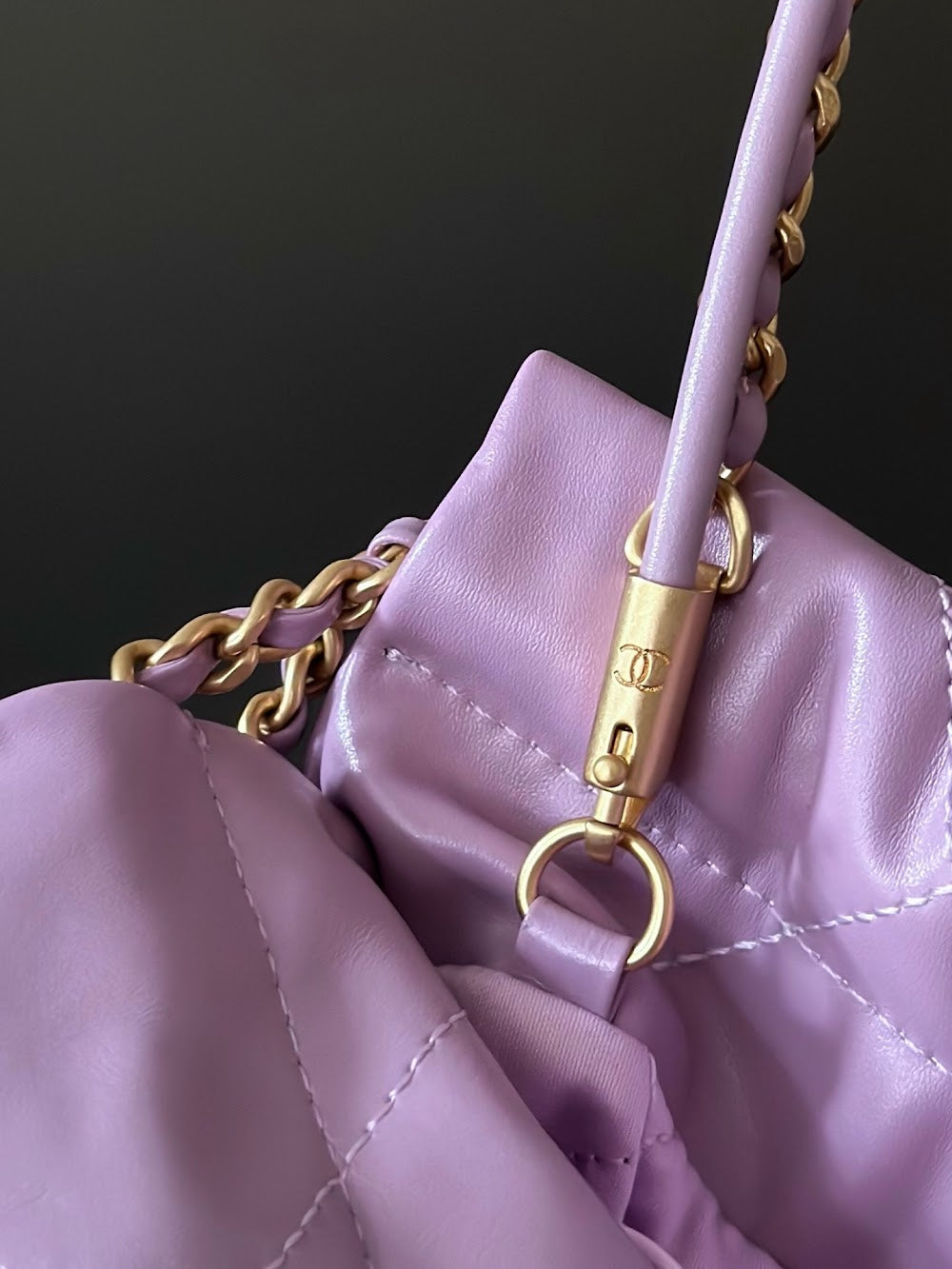 Anum Bags CHn Luxury Bag --112759