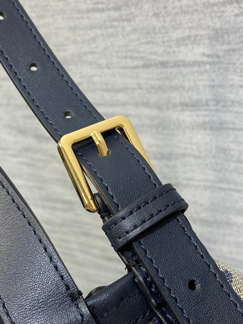 Ezyycart Bags Diorn Luxury Bag --116145