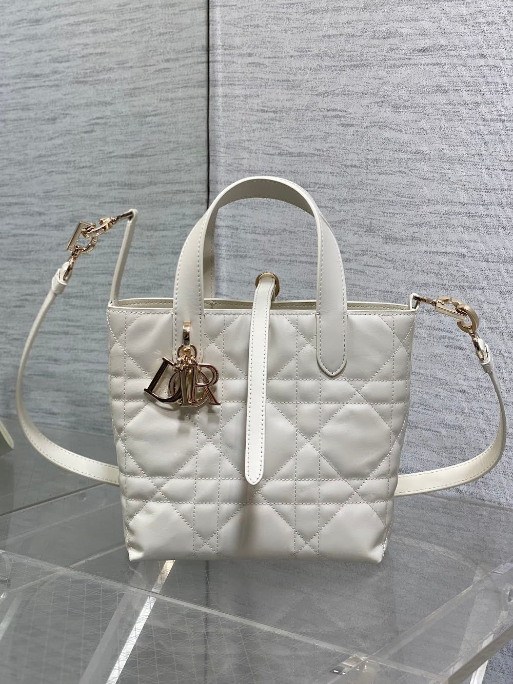 Ezyycart Bags Diorn Luxury Bag --115660