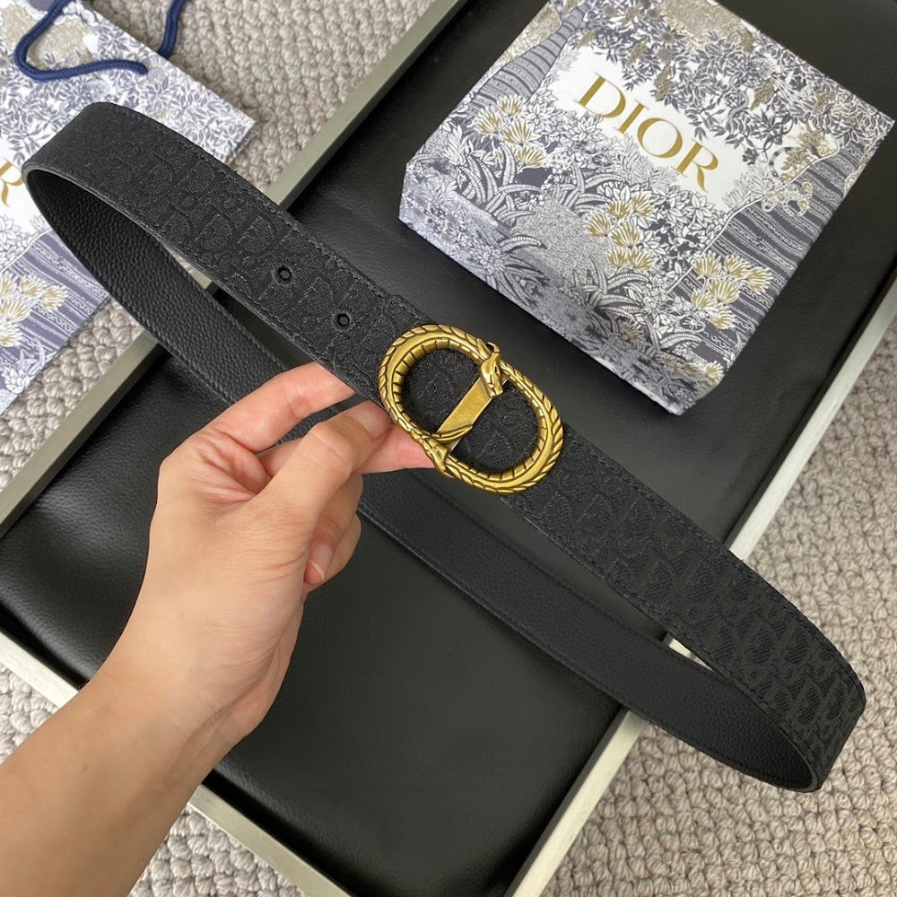 Anum Bags Diorn Luxury Belt --104902