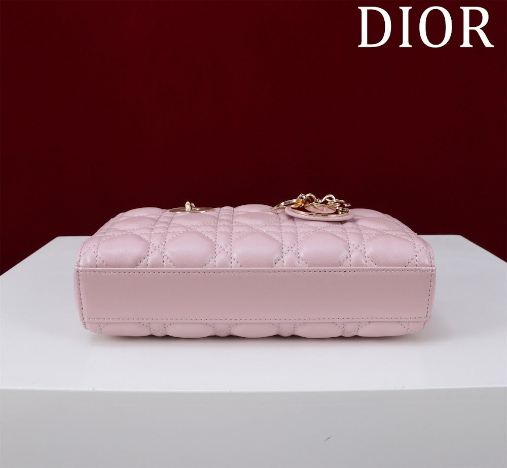 Anum Bags Diorn Luxury Bag --114726