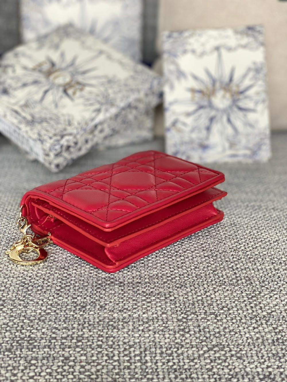 Ezyycart Bags Diorn Luxury Bag --115224