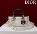 Anum Bags Diorn Luxury Bag --114845