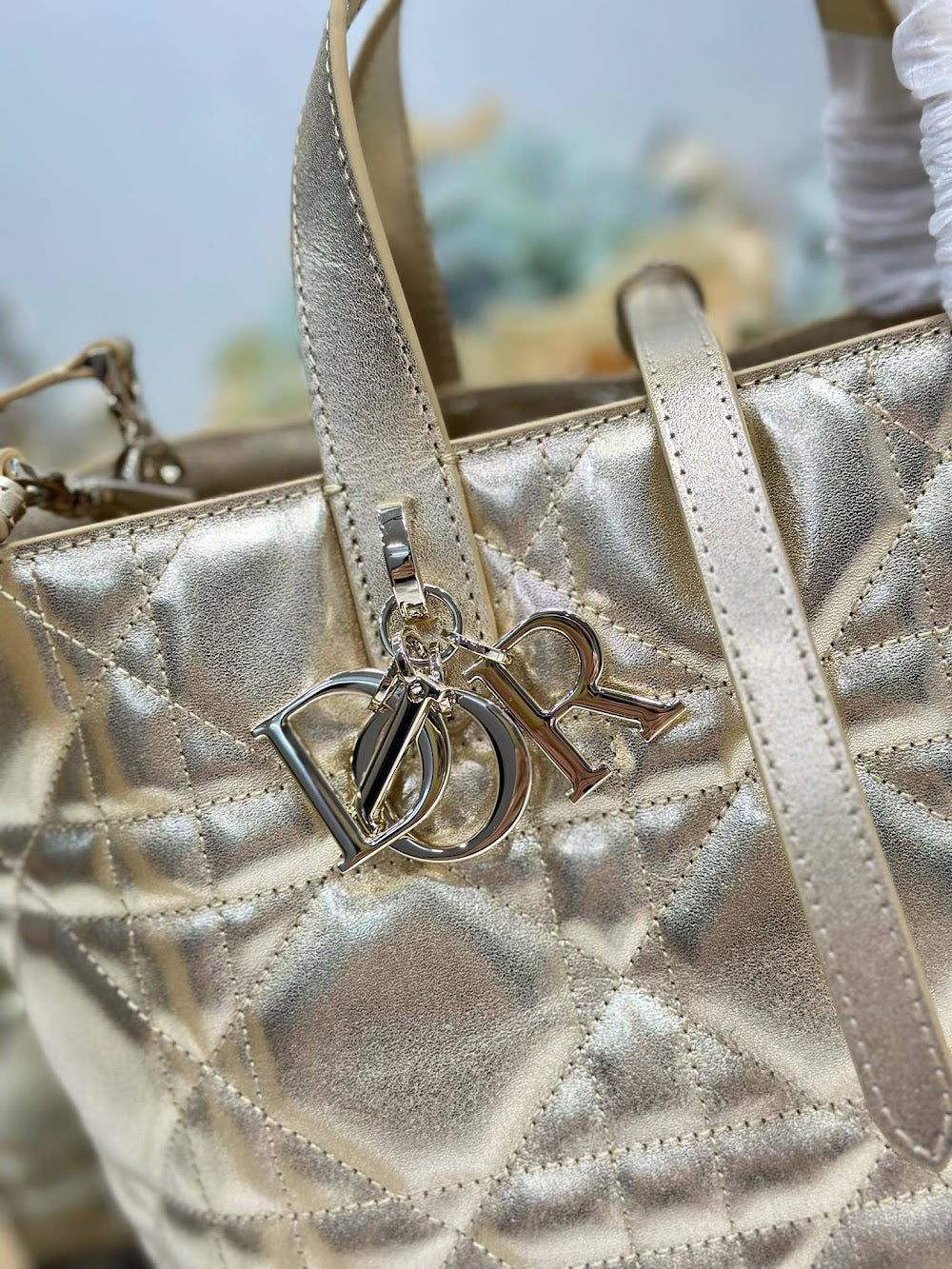 Ezyycart Bags Diorn Luxury Bag --115517