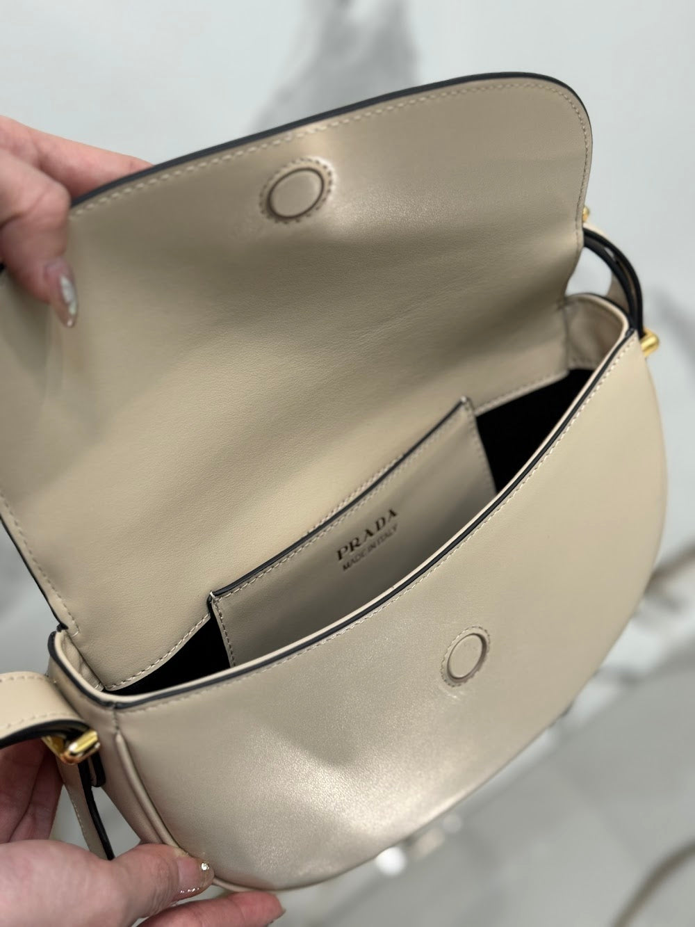 Ezyycart Bags Pradn Luxury Bag --102087
