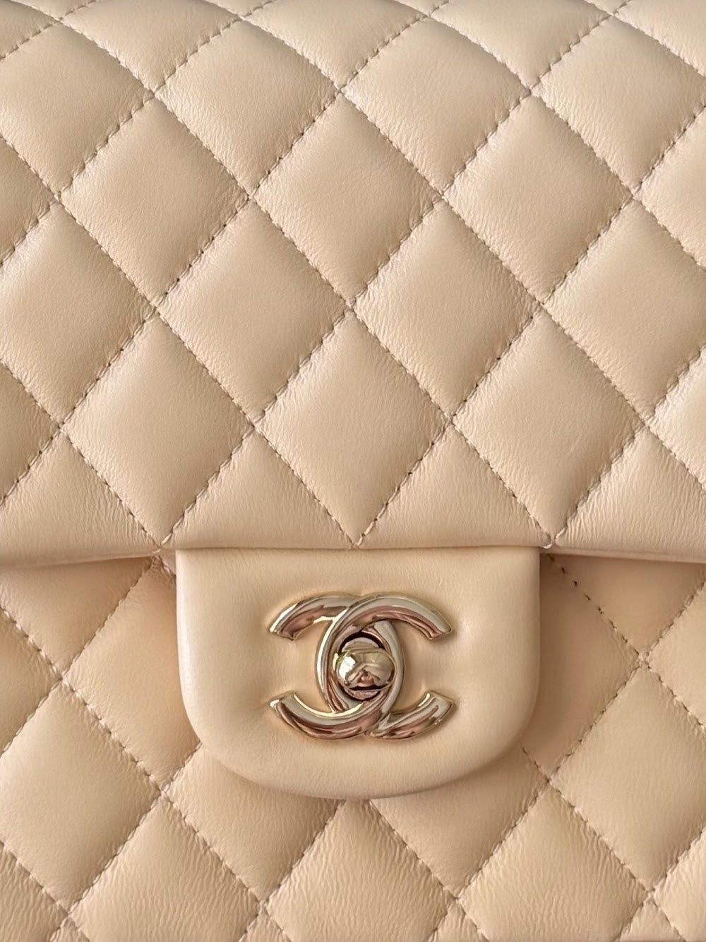 Anum Bags CHn Luxury Bag --112966