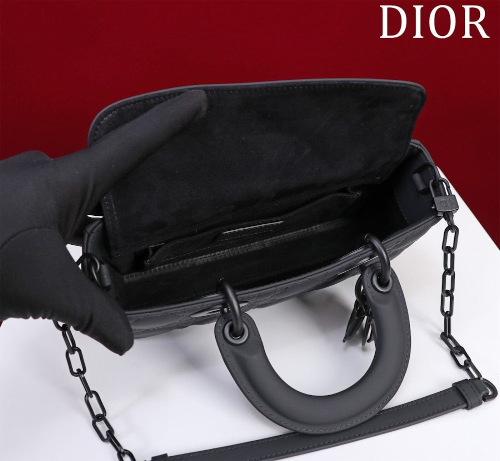 Anum Bags Diorn Luxury Bag --114857