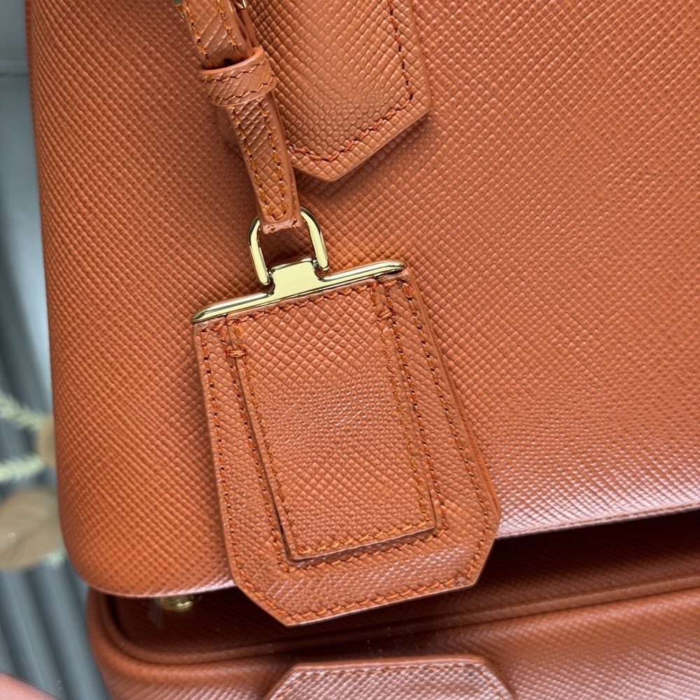 Ezyycart Bags Pradn Luxury Bag --102319