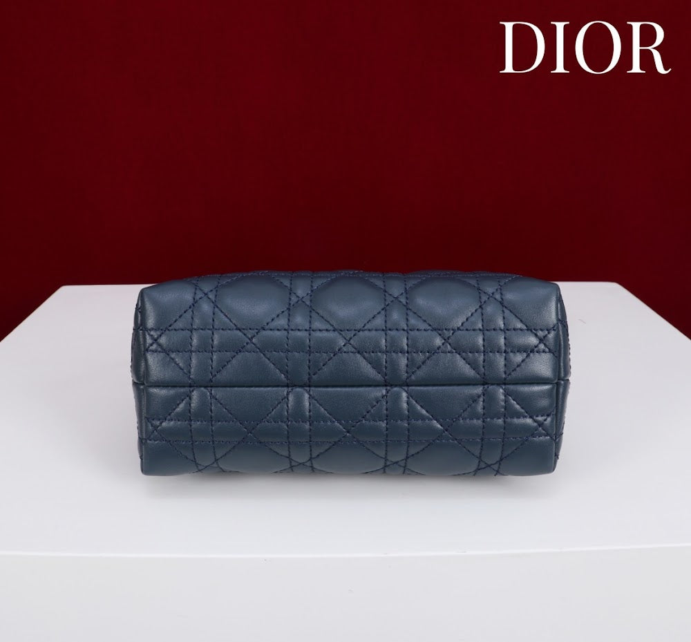 Anum Bags Diorn Luxury Bag --114558