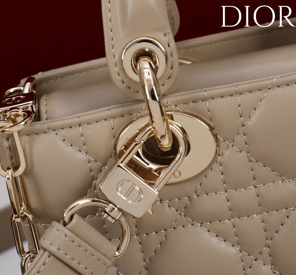 Ezyycart Bags Diorn Luxury Bag --115419