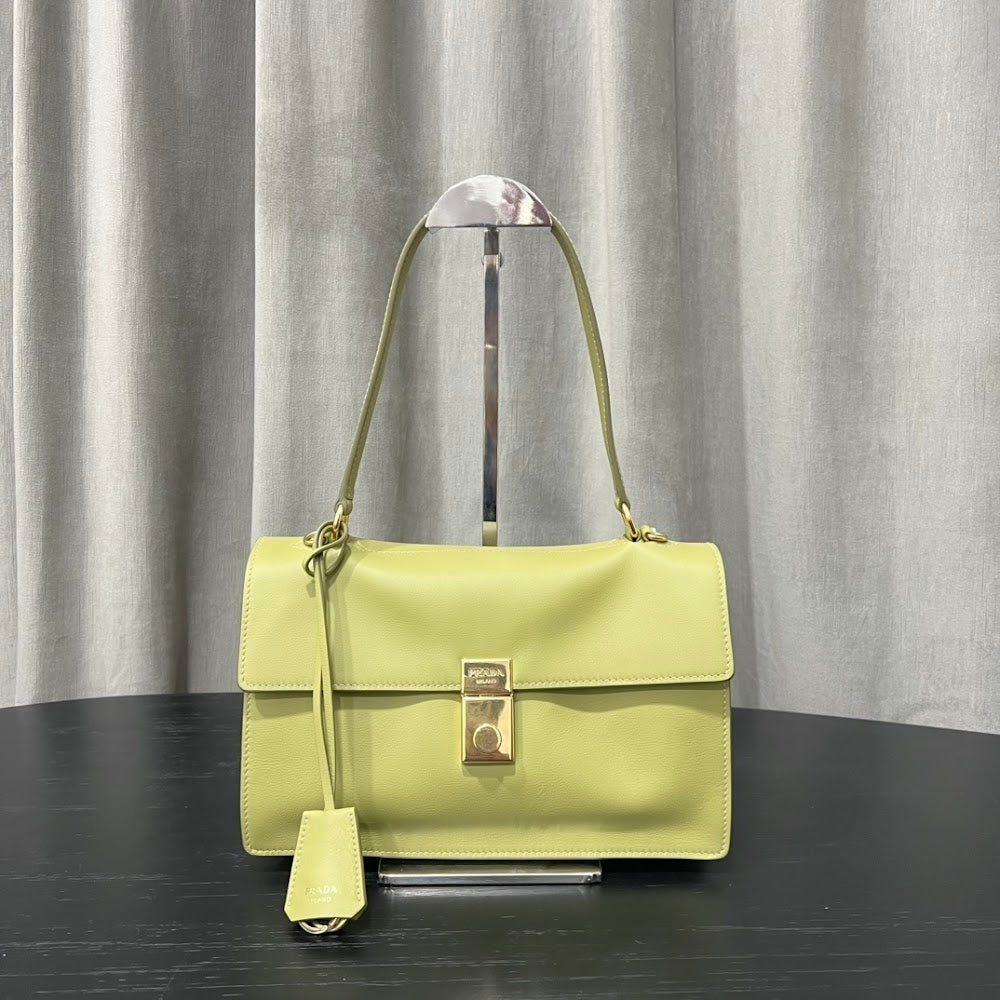 Ezyycart Bags Pradn Luxury Bag --101810