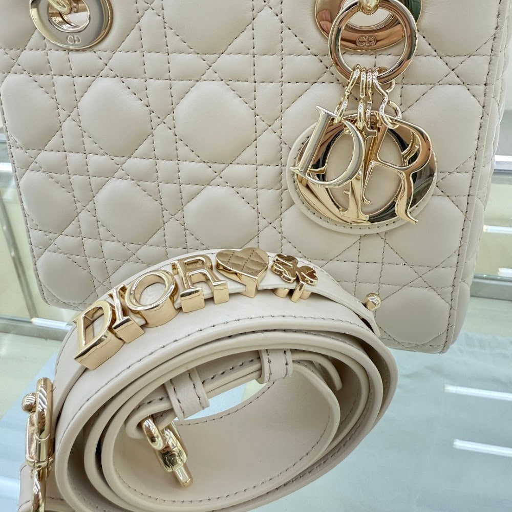 Anum Bags Diorn Luxury Bag --114446