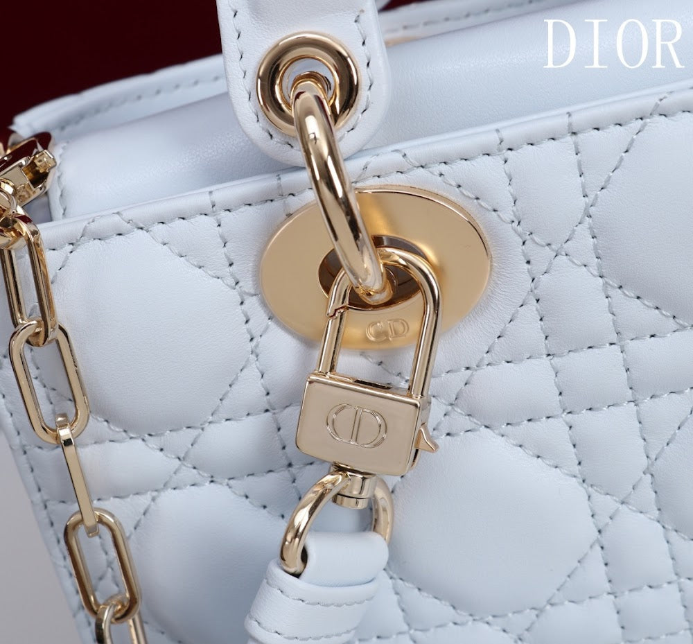 Anum Bags Diorn Luxury Bag --114713