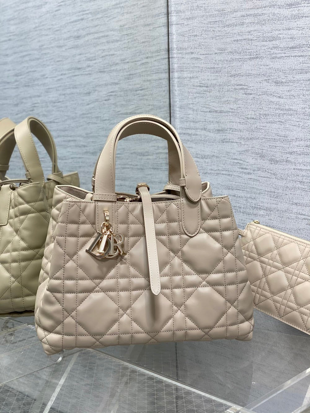 Anum Bags Diorn Luxury Bag --114549