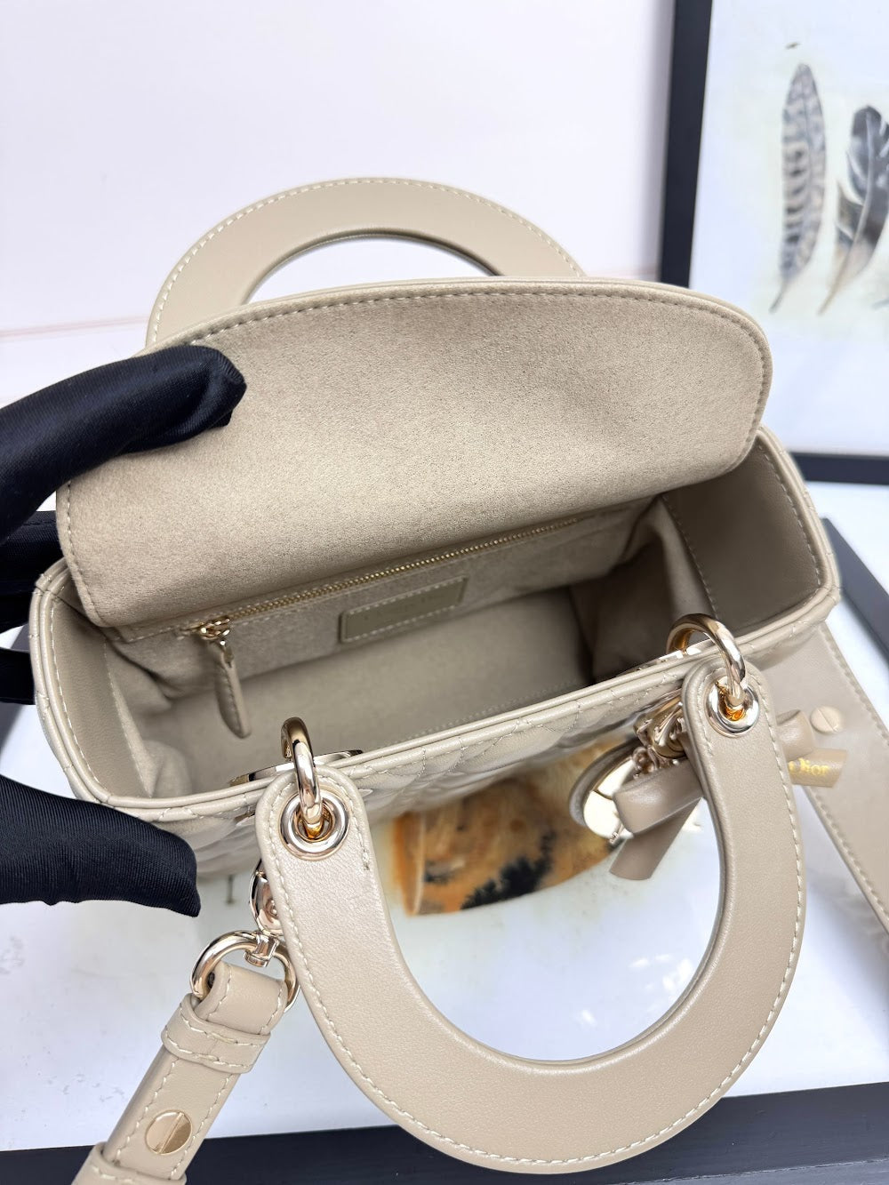 Anum Bags Diorn Luxury Bag --114946