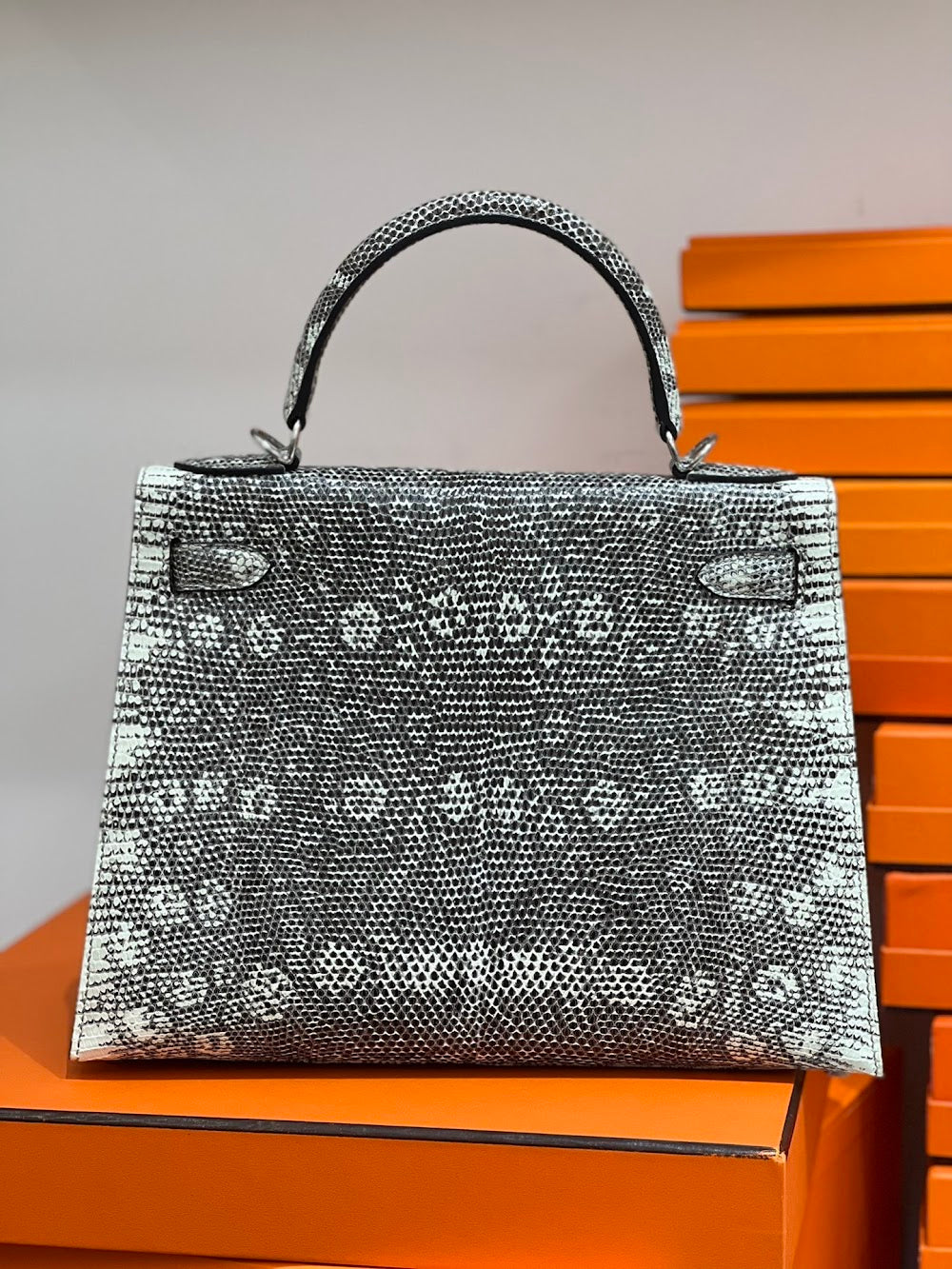 Anum Bags Hermesn Luxury Bag --117123