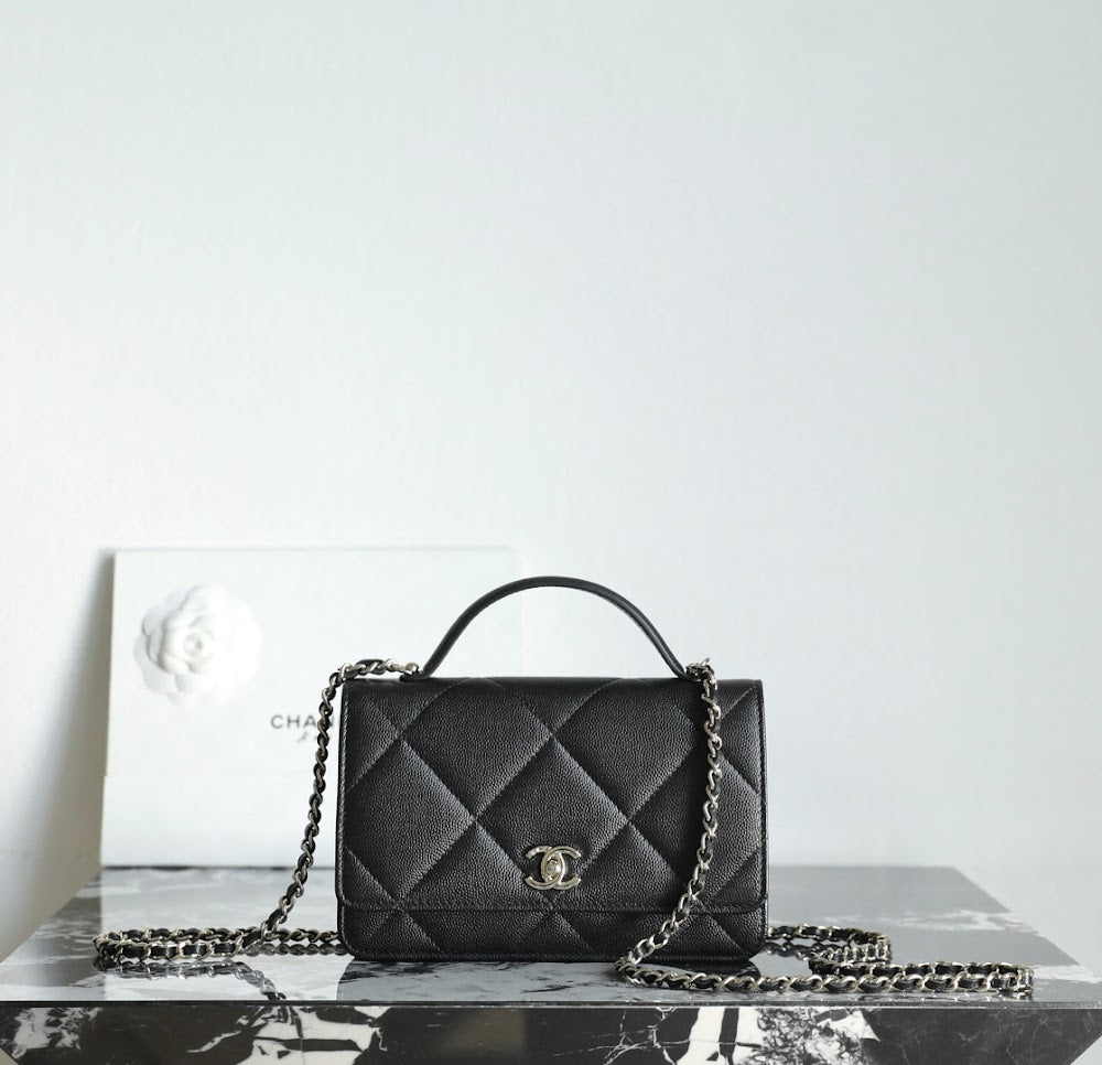 Anum Bags CHn Luxury Bag --113598