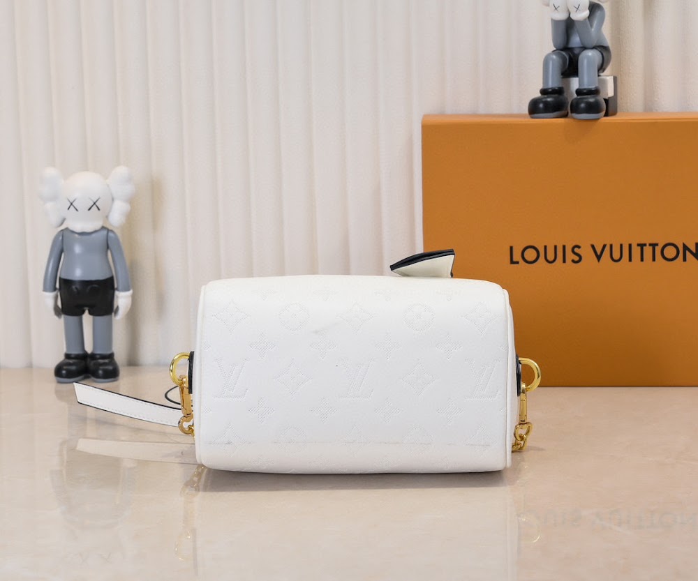Anum Bags LVn Luxury Bag --80127