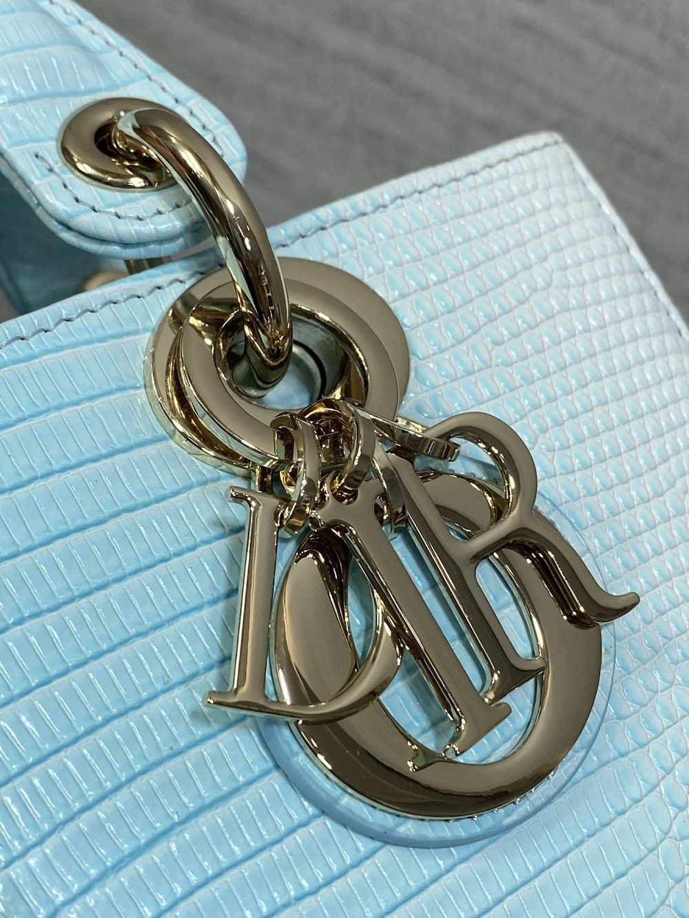 Ezyycart Bags Diorn Luxury Bag --115144