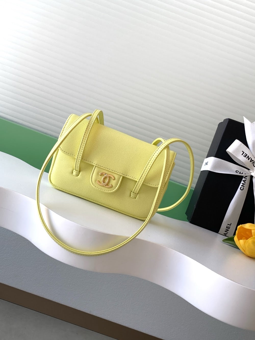 Anum Bags CHn Luxury Bag --113899