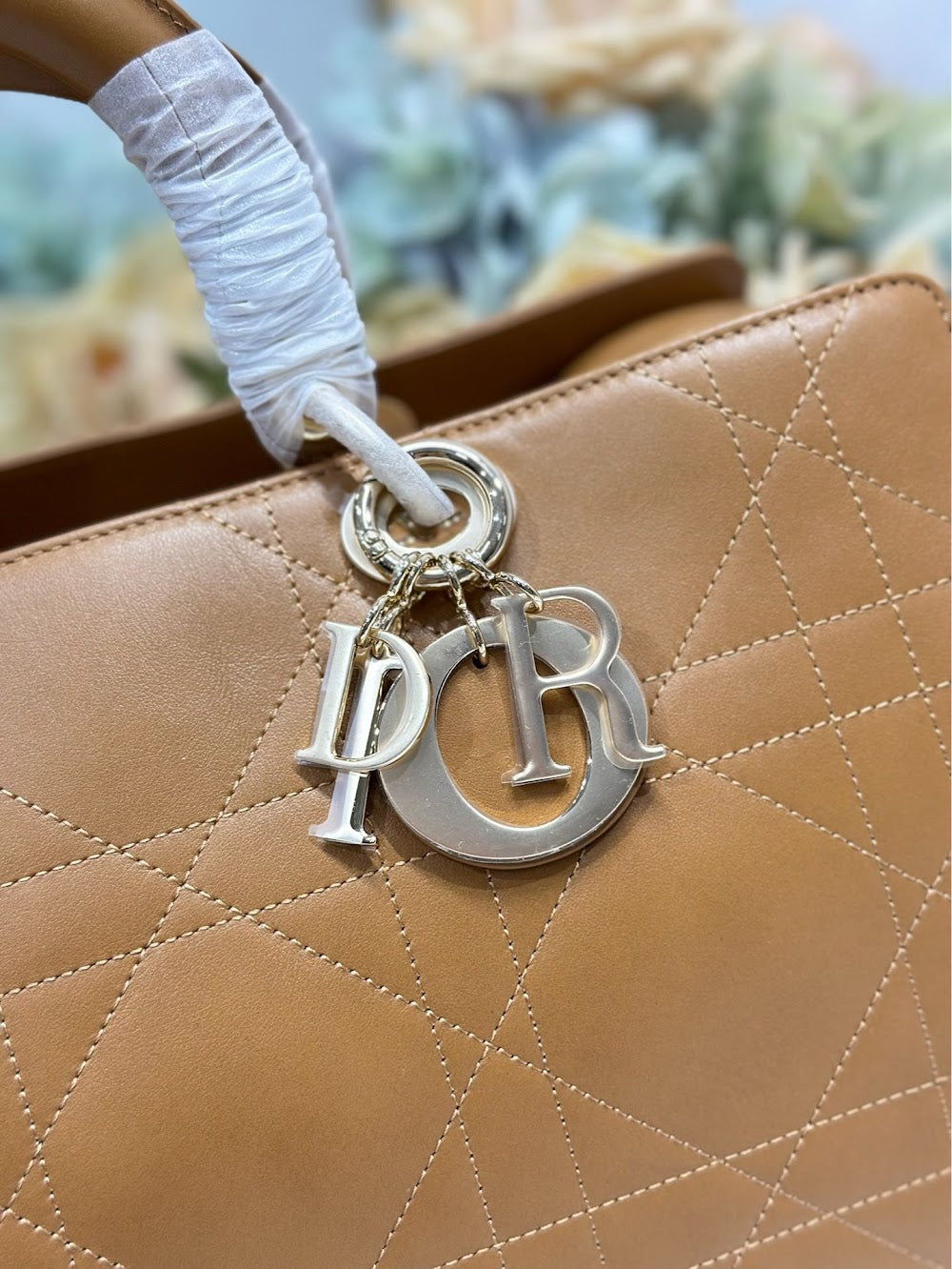 Ezyycart Bags Diorn Luxury Bag --115573