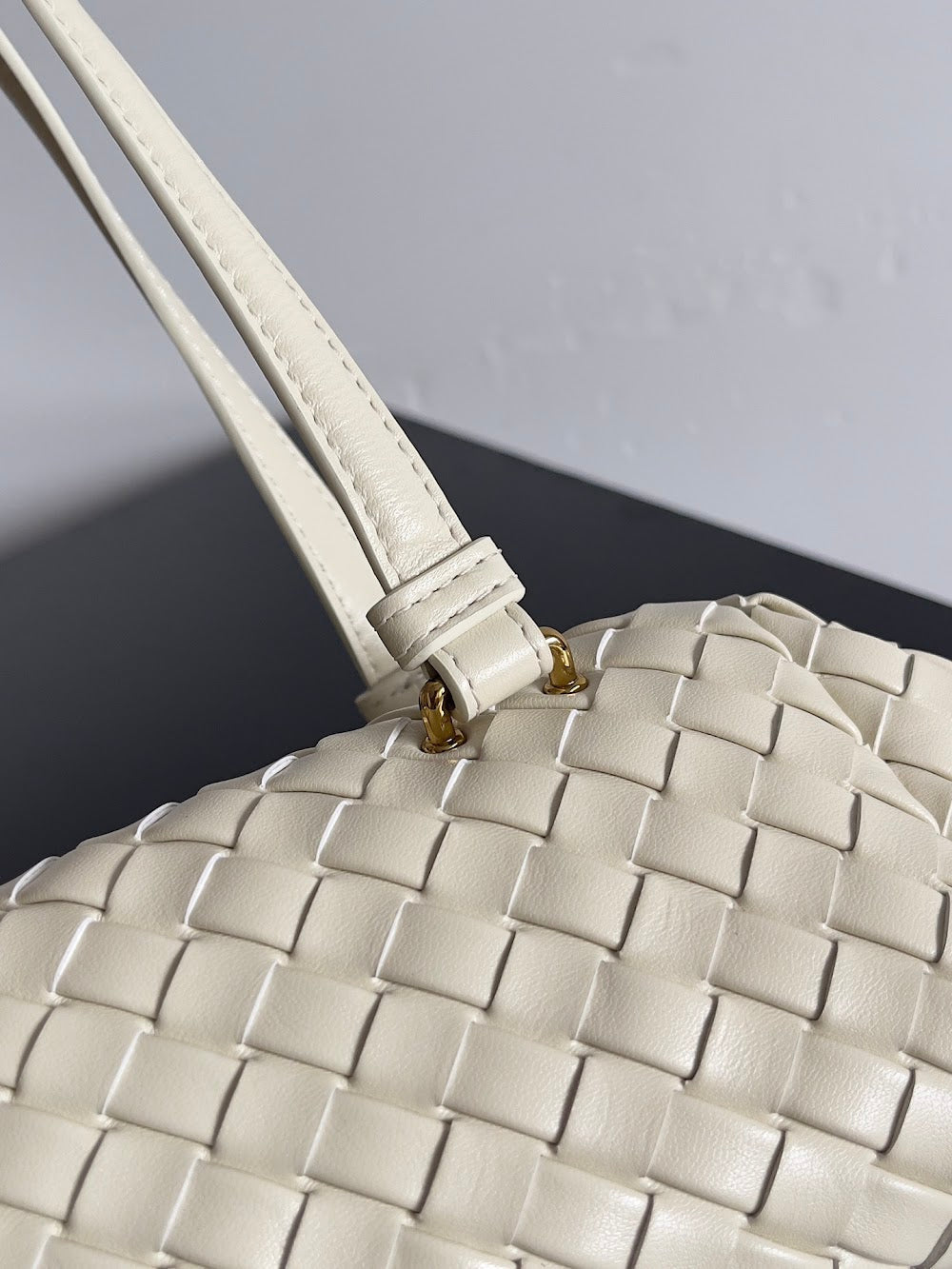 Ezyycart Bags Bottegan Luxury Bag --91009