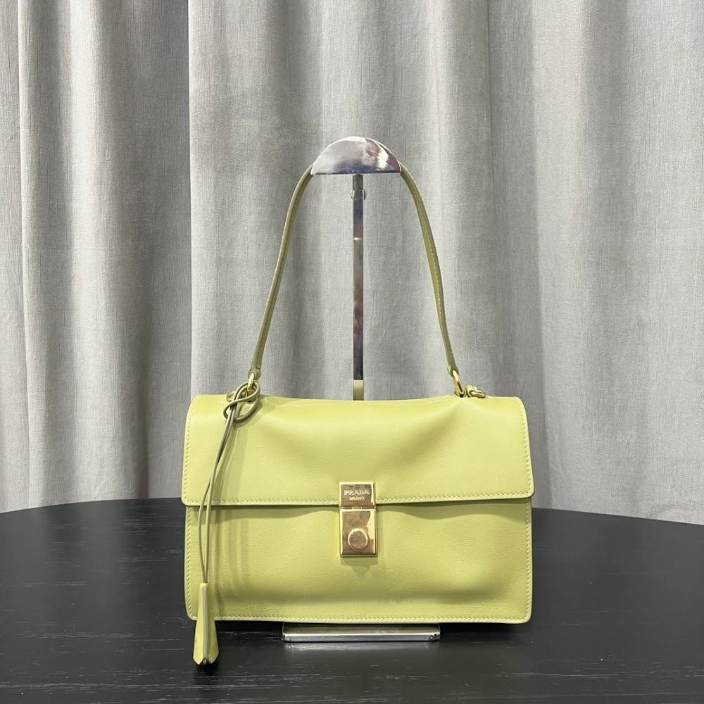 Ezyycart Bags Pradn Luxury Bag --101810