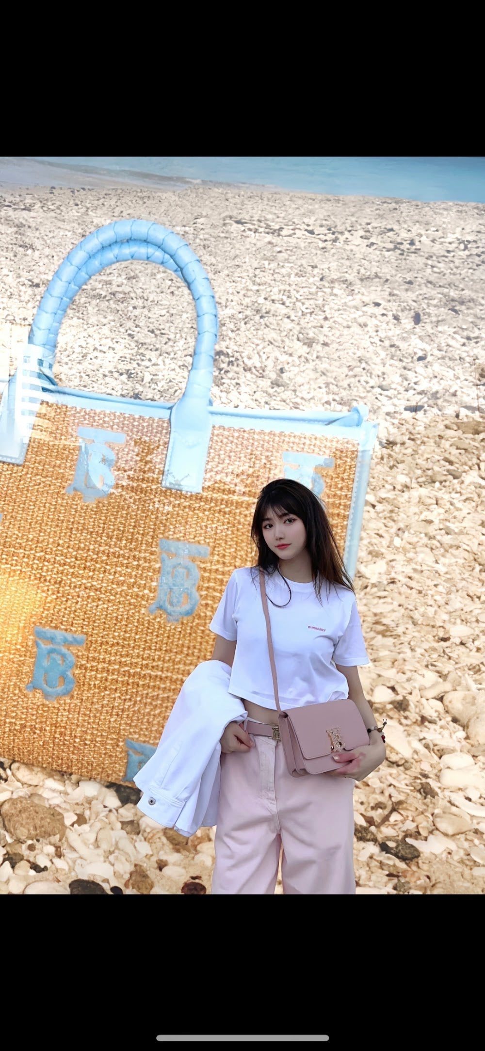 Ezyycart Bags Burberryn Luxury Bag --91648