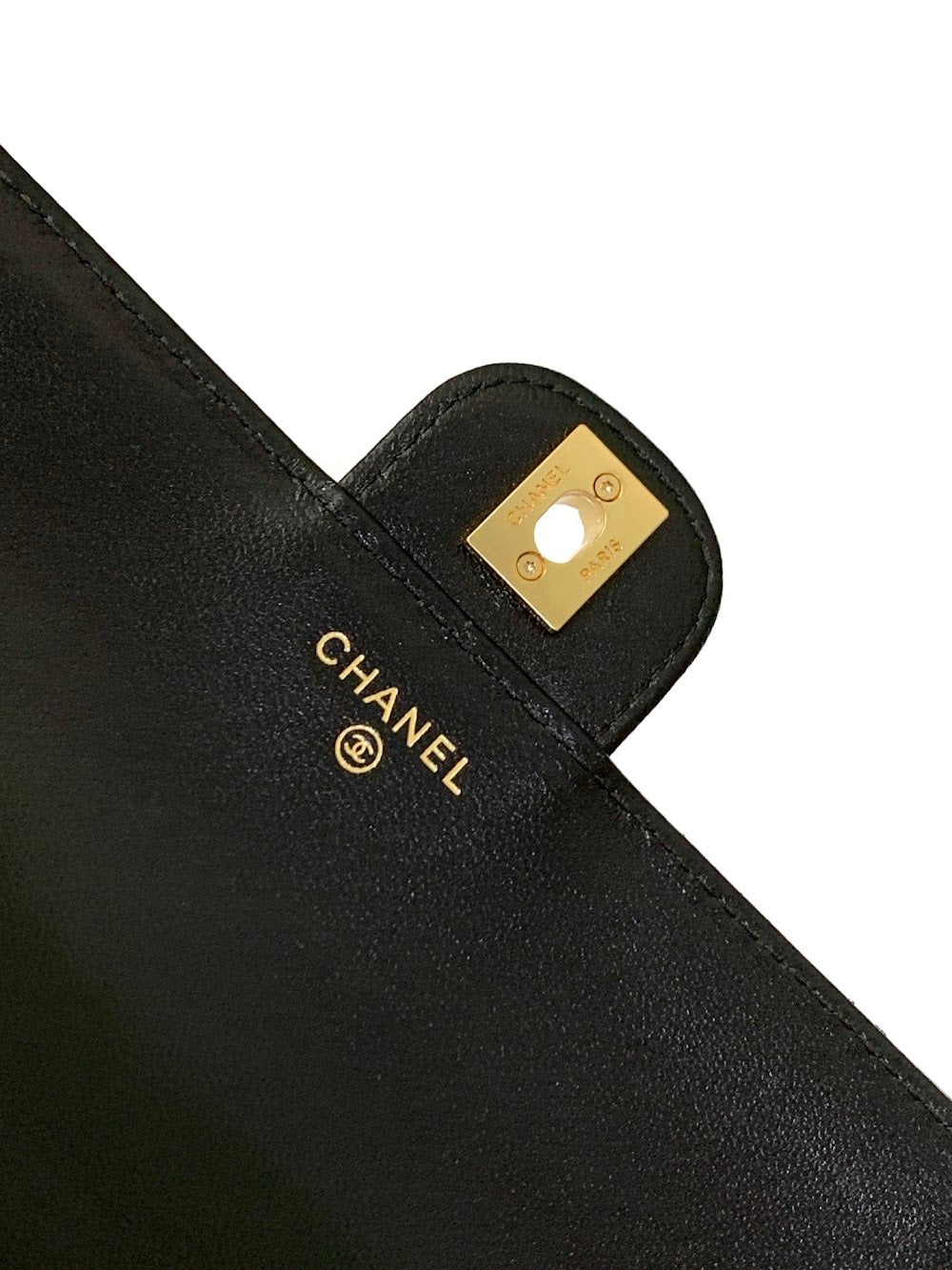 Anum Bags CHn Luxury Bag --114097